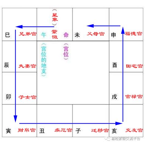 紫微斗數十二宮|十二宮